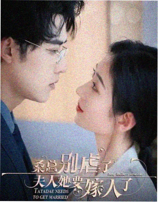 少年派2电视剧全集